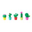 Set di 5 Gomme Profumate - Cactus Sale