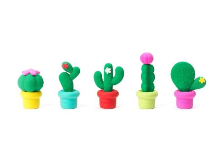 Set di 5 Gomme Profumate - Cactus Sale