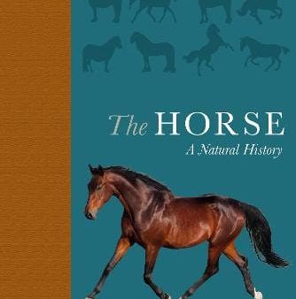 Debbie Busby: The Horse [2019] hardback Supply