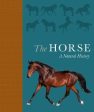 Debbie Busby: The Horse [2019] hardback Supply