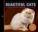 Darlene Arden: Beautiful Cats [2014] paperback For Cheap